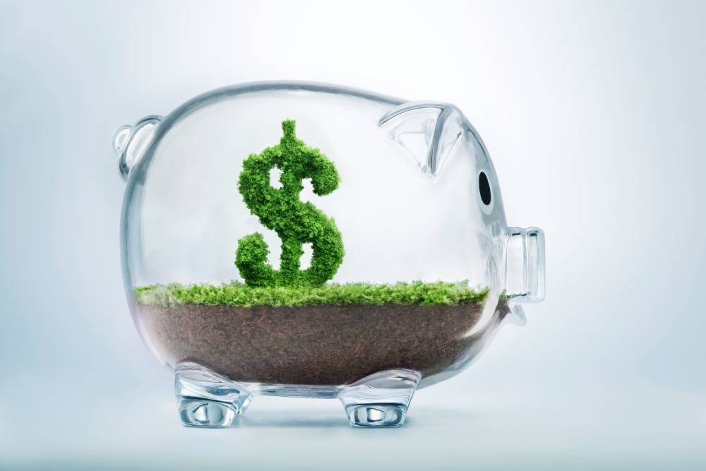 Clear piggy bank with soil and a plant-like money sign