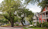 Suburban Cul-de-Sac with Wood Sided Homes Around Center Island with Park Bench and Large Trees